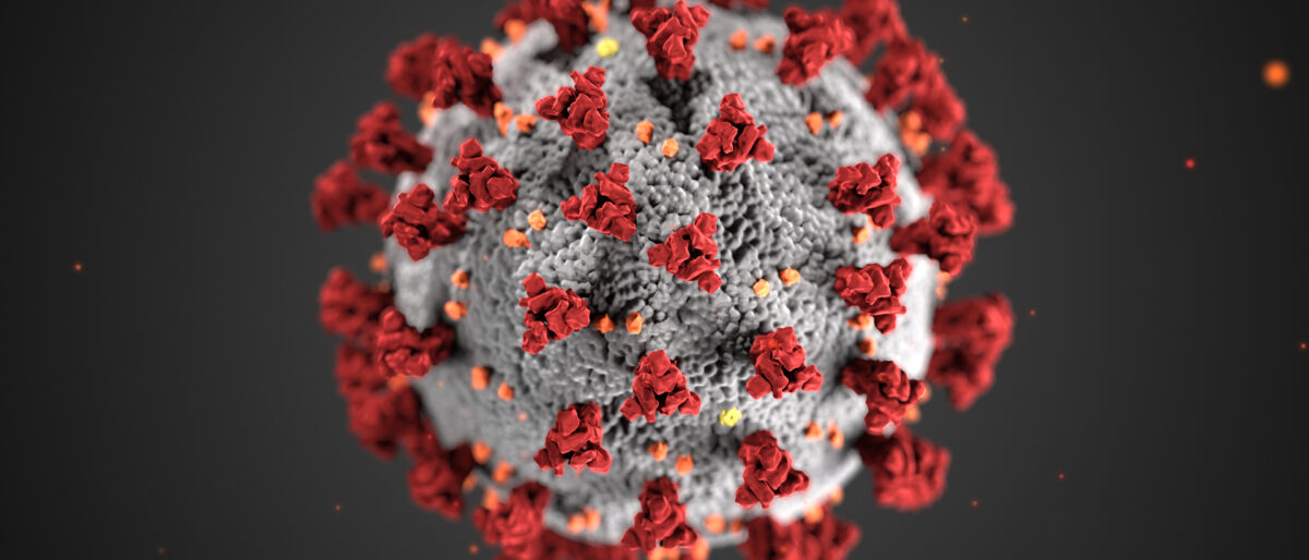 Permalink zu:Coronavirus – Neue Massnahmen bis mindestens zum 24.01.2022